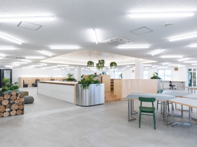 HIGANO OFFICE RENOVATION